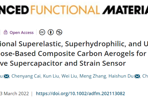 超彈、超輕、超親水的多功能CNF/CNT/RGO碳?xì)饽z！